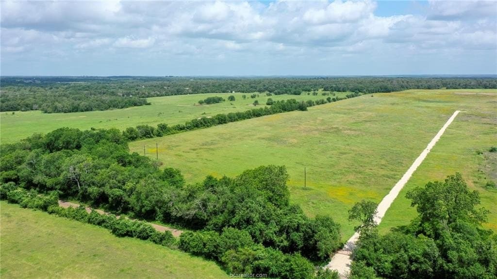 21 acres in Burleson County - photo 8