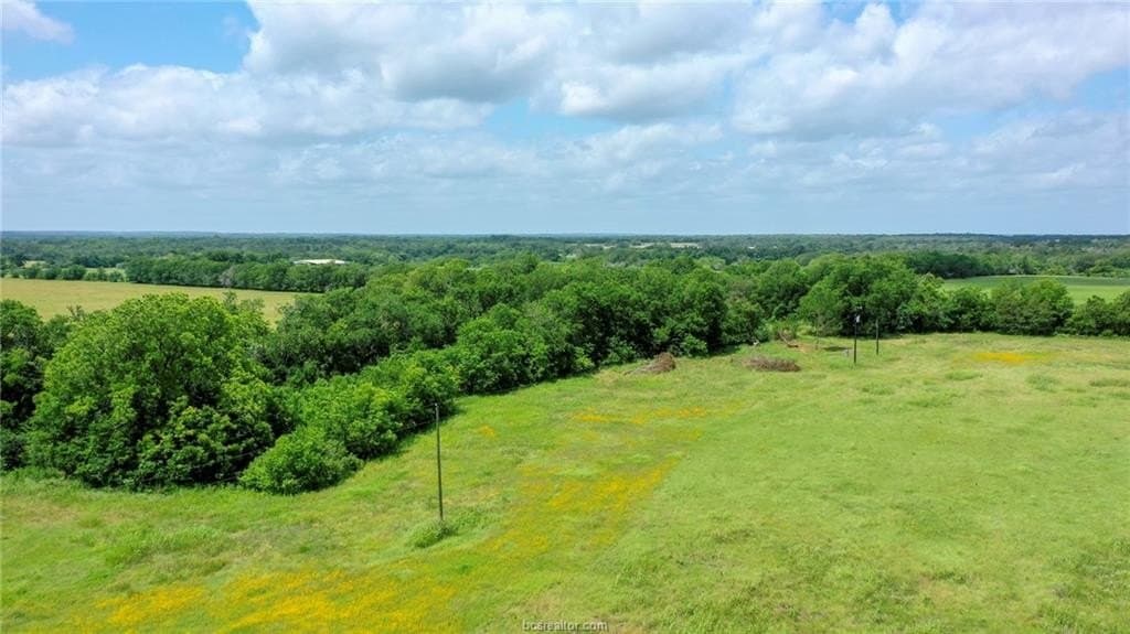 21 acres in Burleson County - photo 13