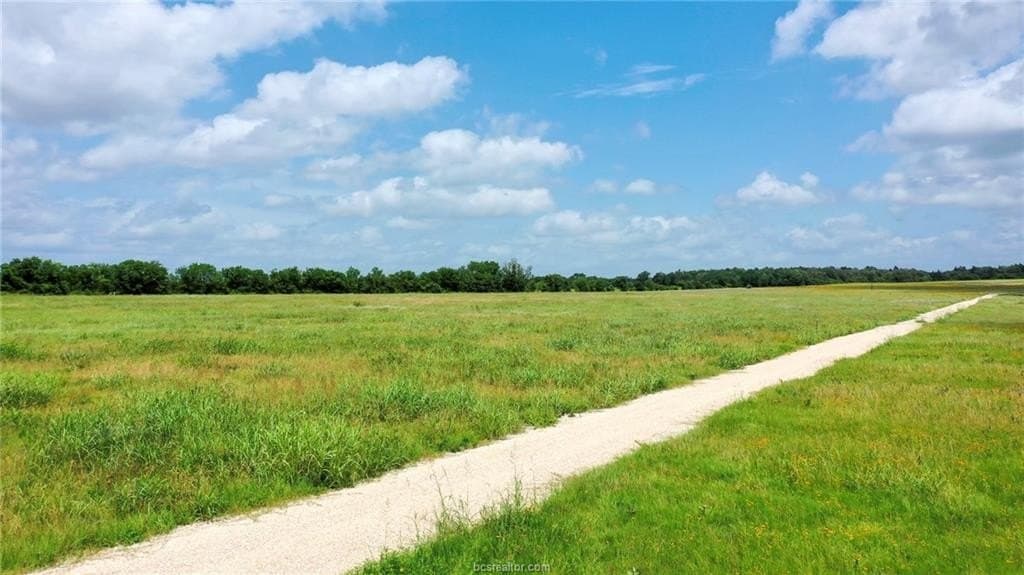 21 acres in Burleson County - photo 17