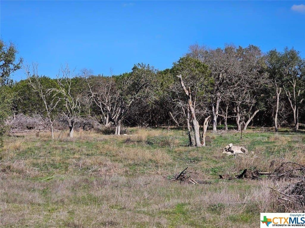 10.96 acres in Burnet County - photo 10