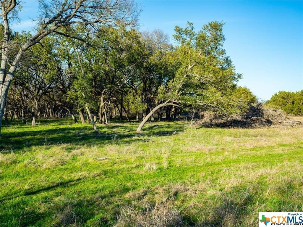 10.96 acres in Burnet County - photo 12
