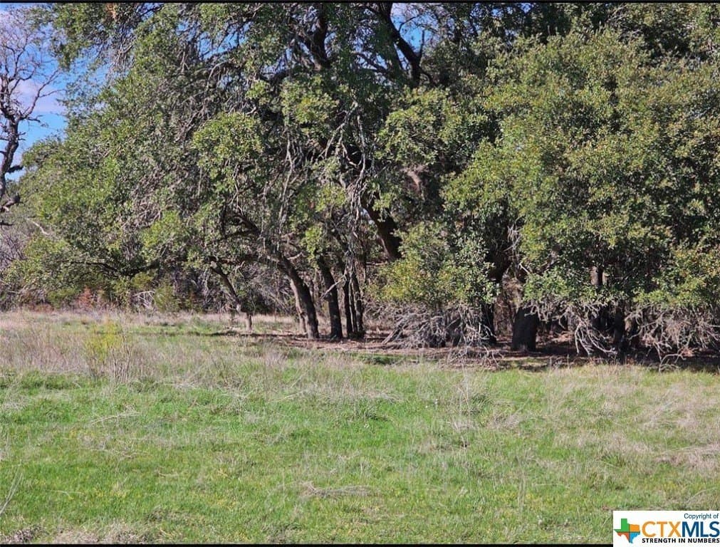10.96 acres in Burnet County gallery image 4
