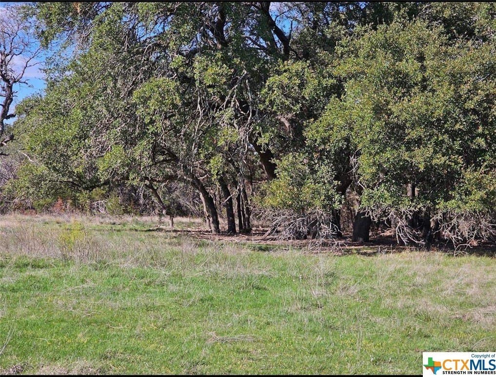10.96 acres in Burnet County gallery image 4