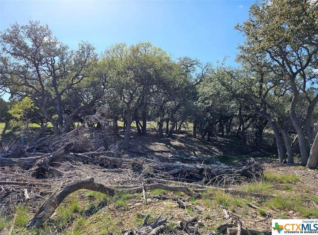 10.96 acres in Burnet County - photo 6