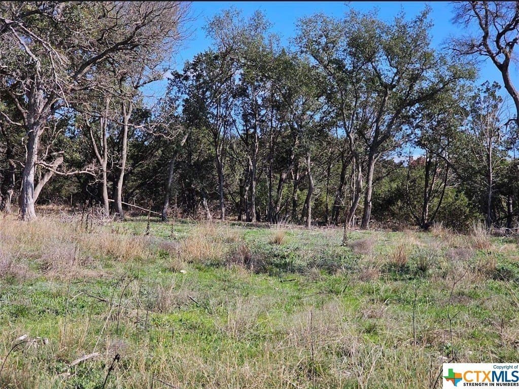 10.96 acres in Burnet County gallery image 3