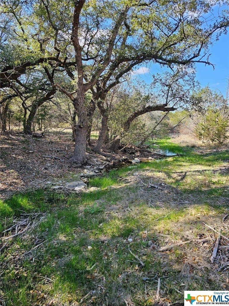 10.96 acres in Burnet County - photo 7