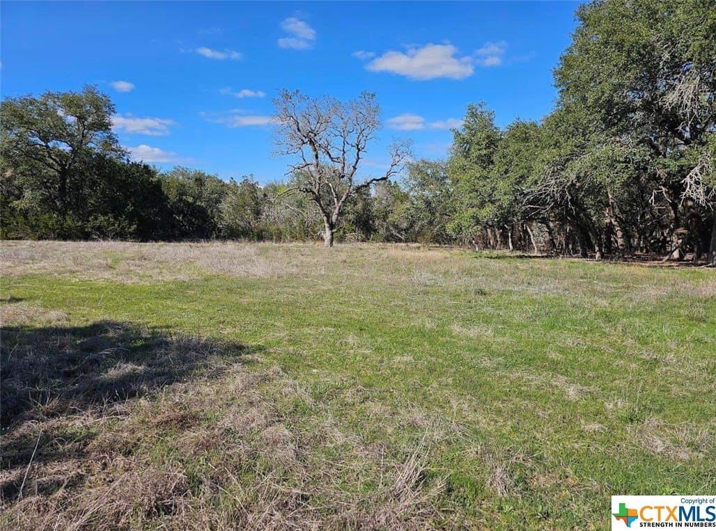 10.96 acres in Burnet County - photo 9