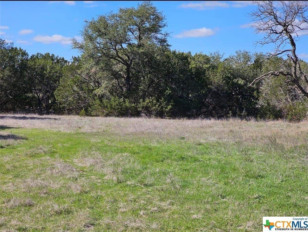 10.96 acres in Burnet County - photo 8