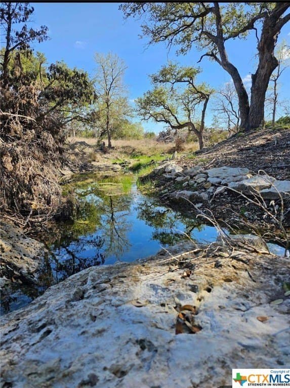 10.96 acres in Burnet County gallery image 2