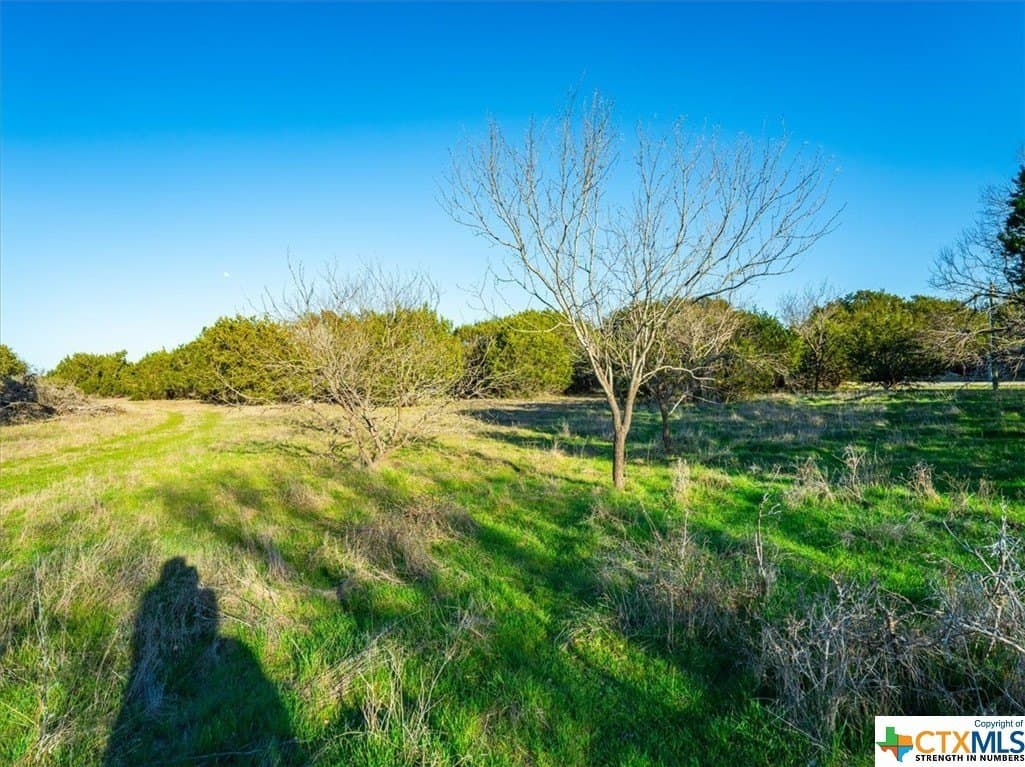 10.96 acres in Burnet County - photo 13