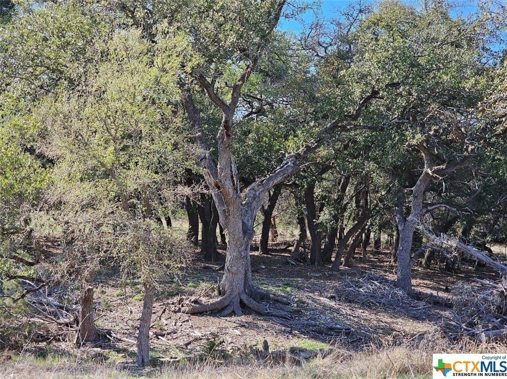 10.96 acres in Burnet County featured view