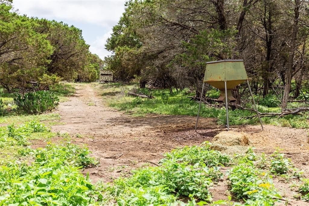 57.63 acres in Bosque County