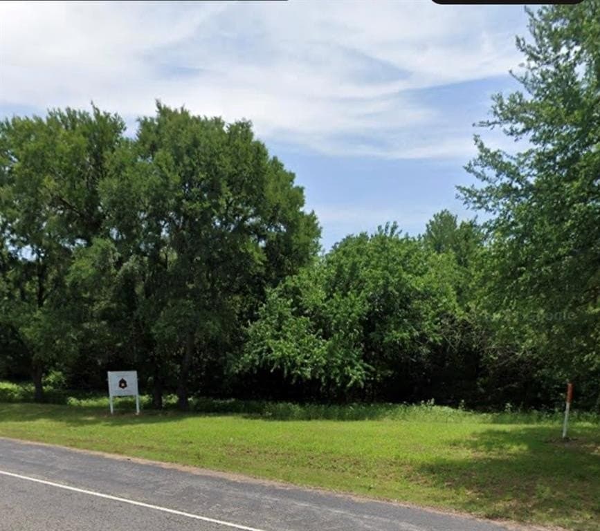 0.67 acres in Fannin County gallery image 4