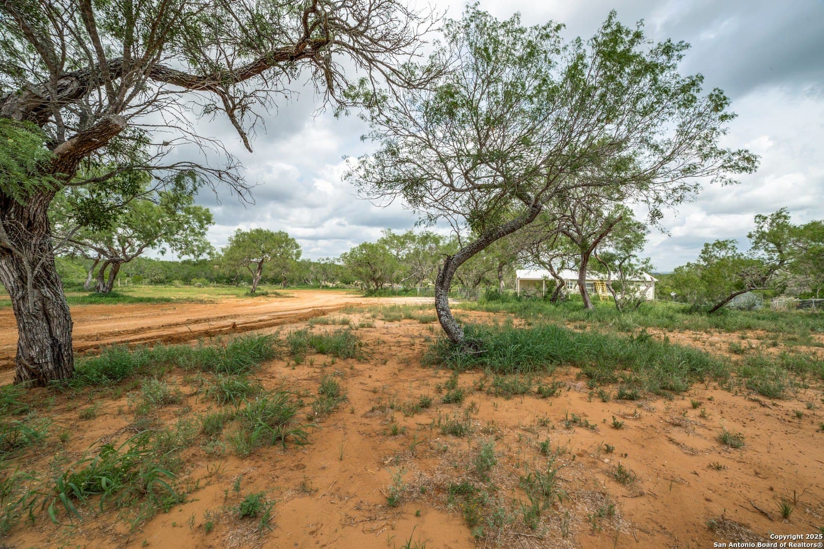 6.04 acres in Wilson County gallery image 4