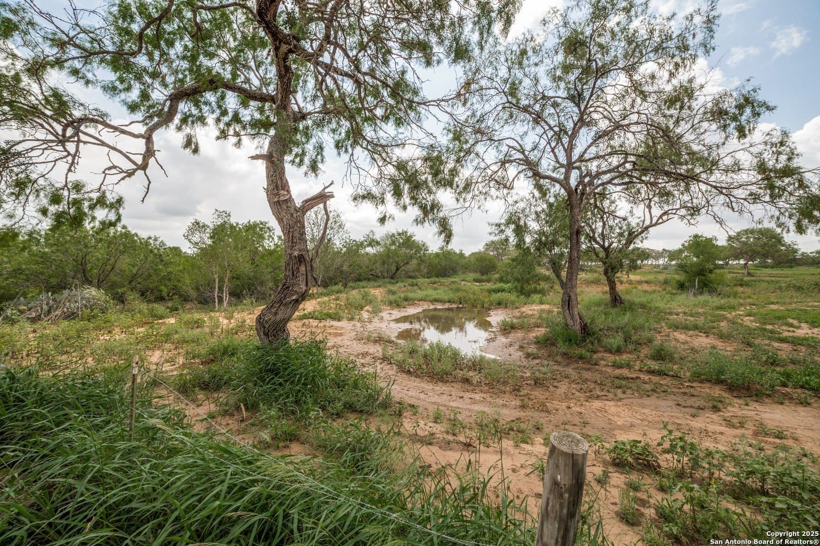 6.04 acres in Wilson County - photo 6