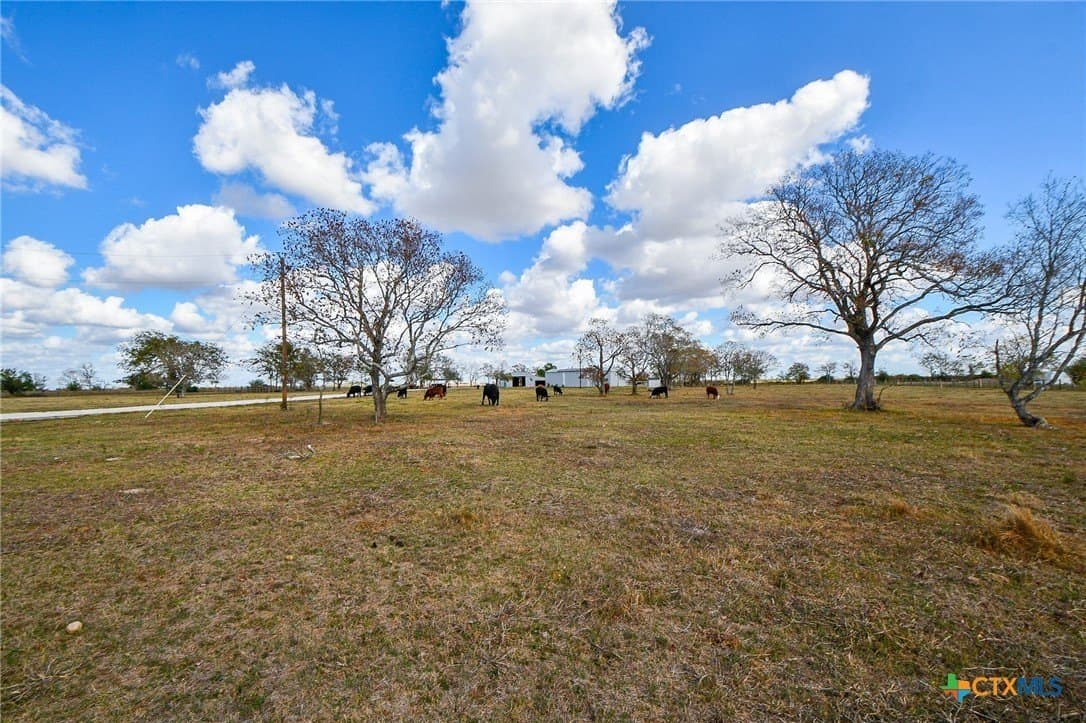 16.14 acres in Colorado County - photo 48