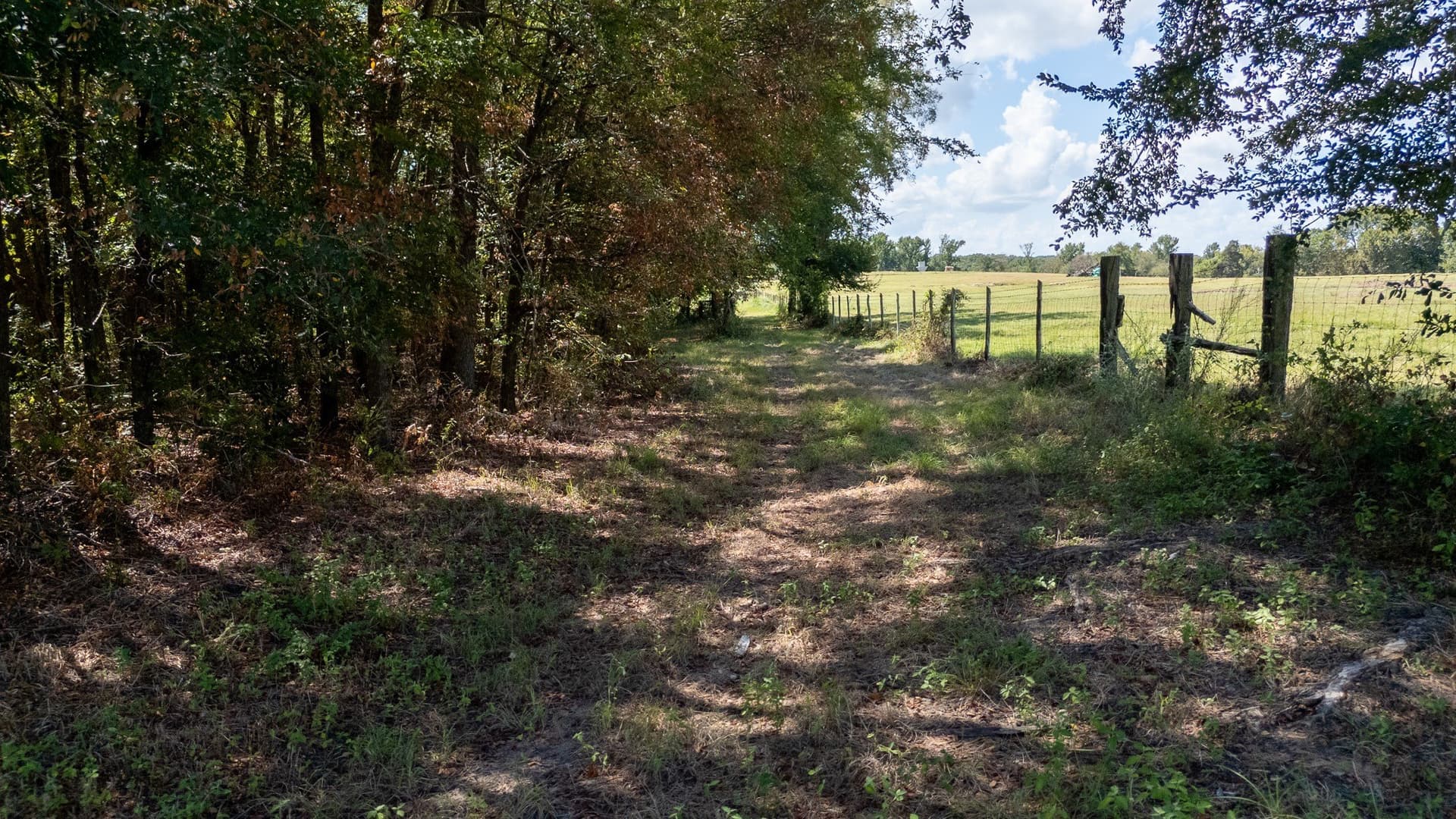18.72 acres in Henderson County - photo 15