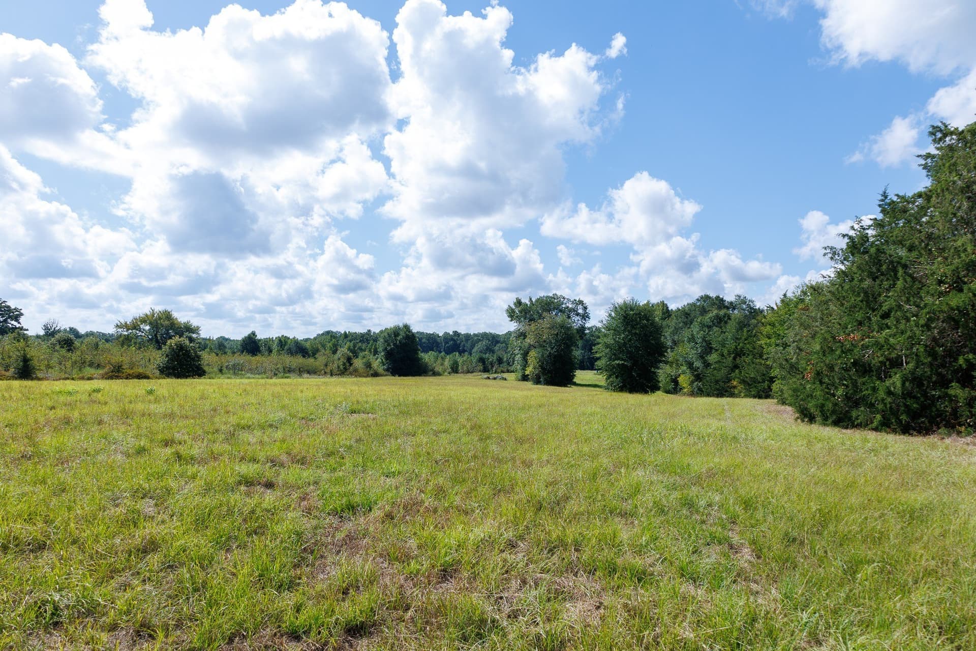 18.72 acres in Henderson County - photo 25