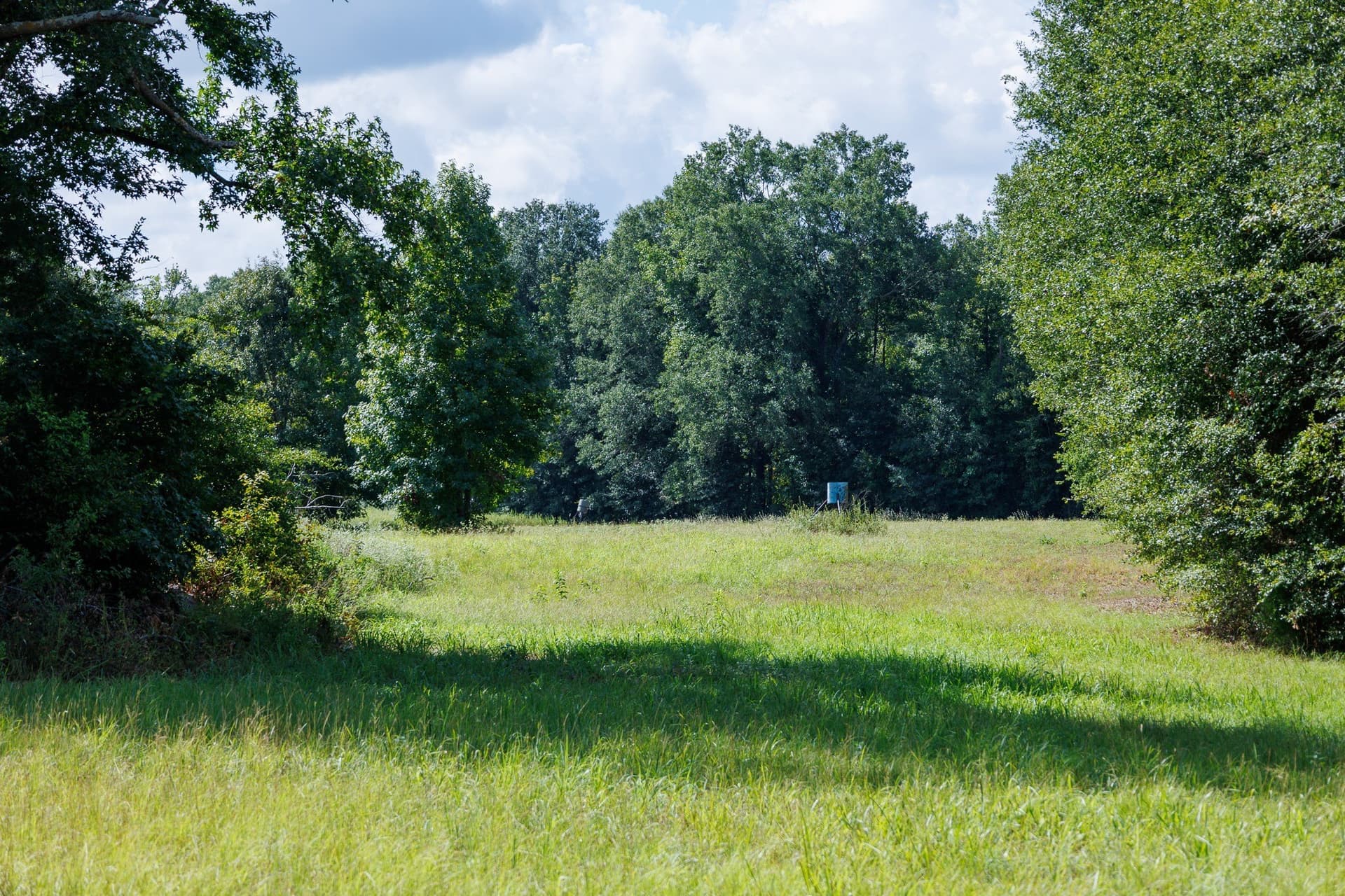 18.72 acres in Henderson County - photo 22