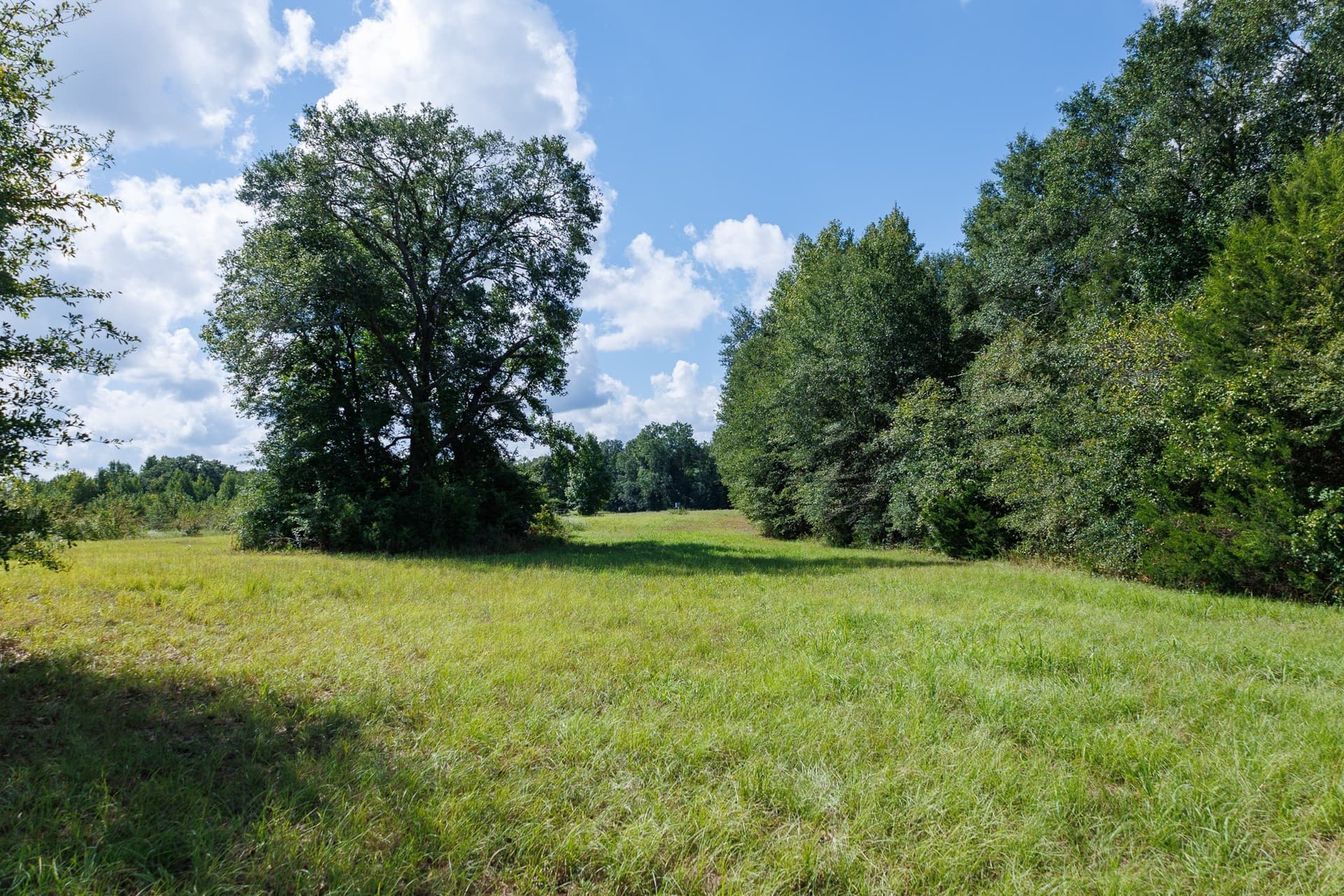 18.72 acres in Henderson County - photo 21