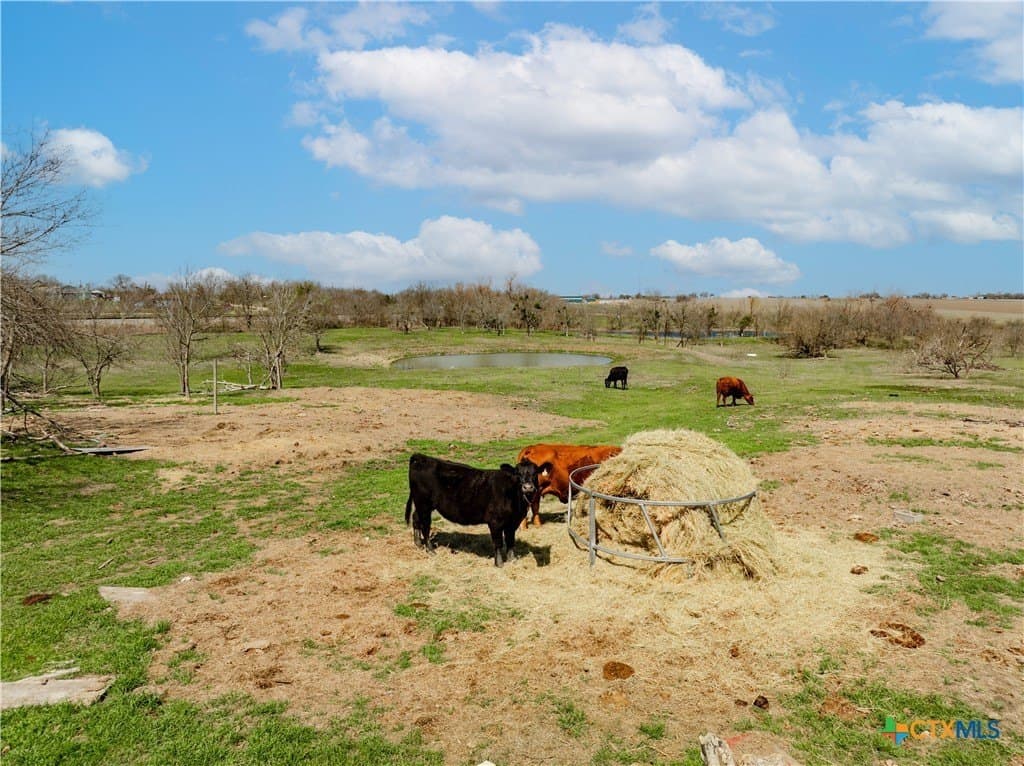 19.32 acres in Williamson County - photo 26