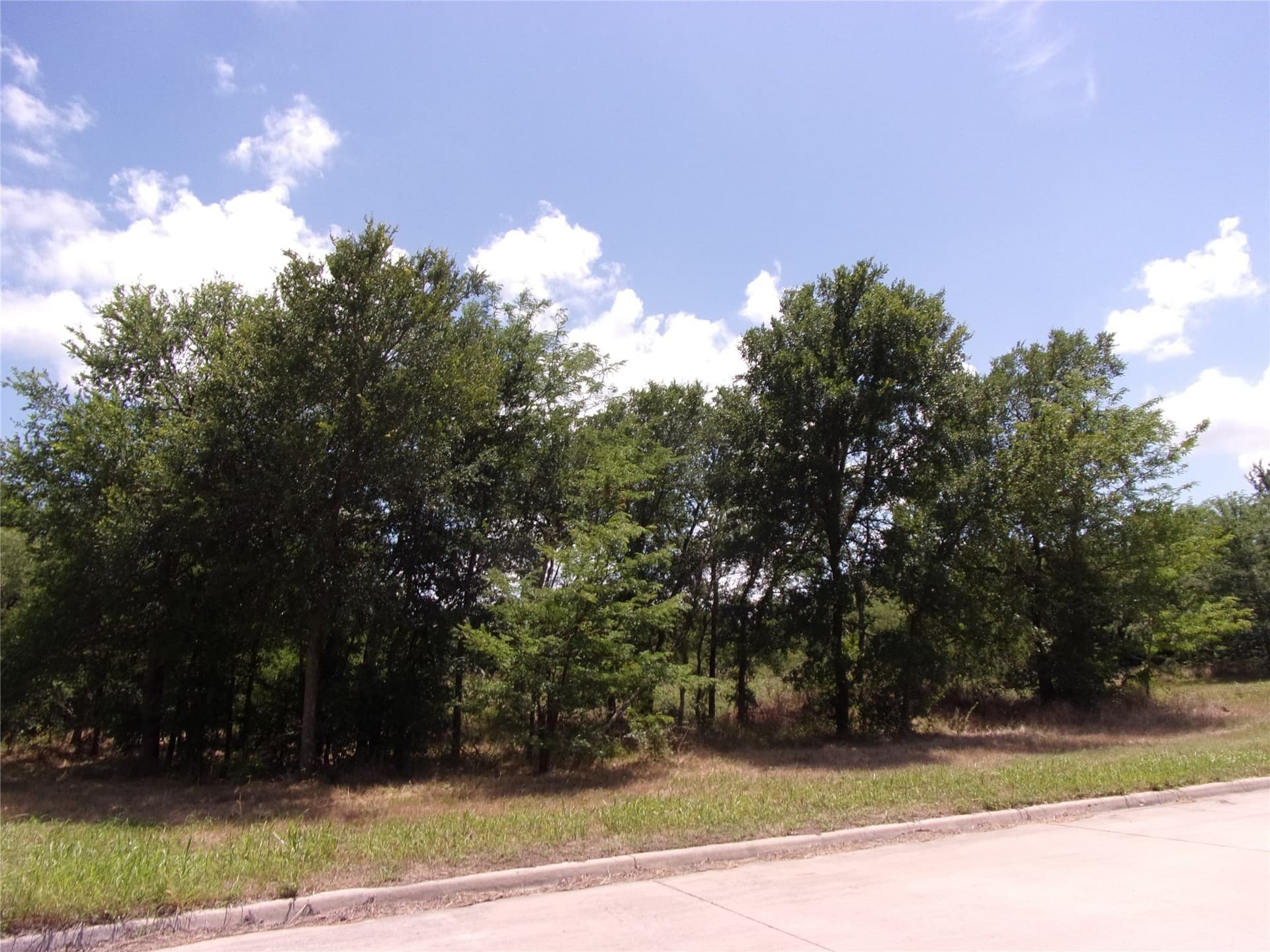 1.03 acres in Hunt County - photo 16
