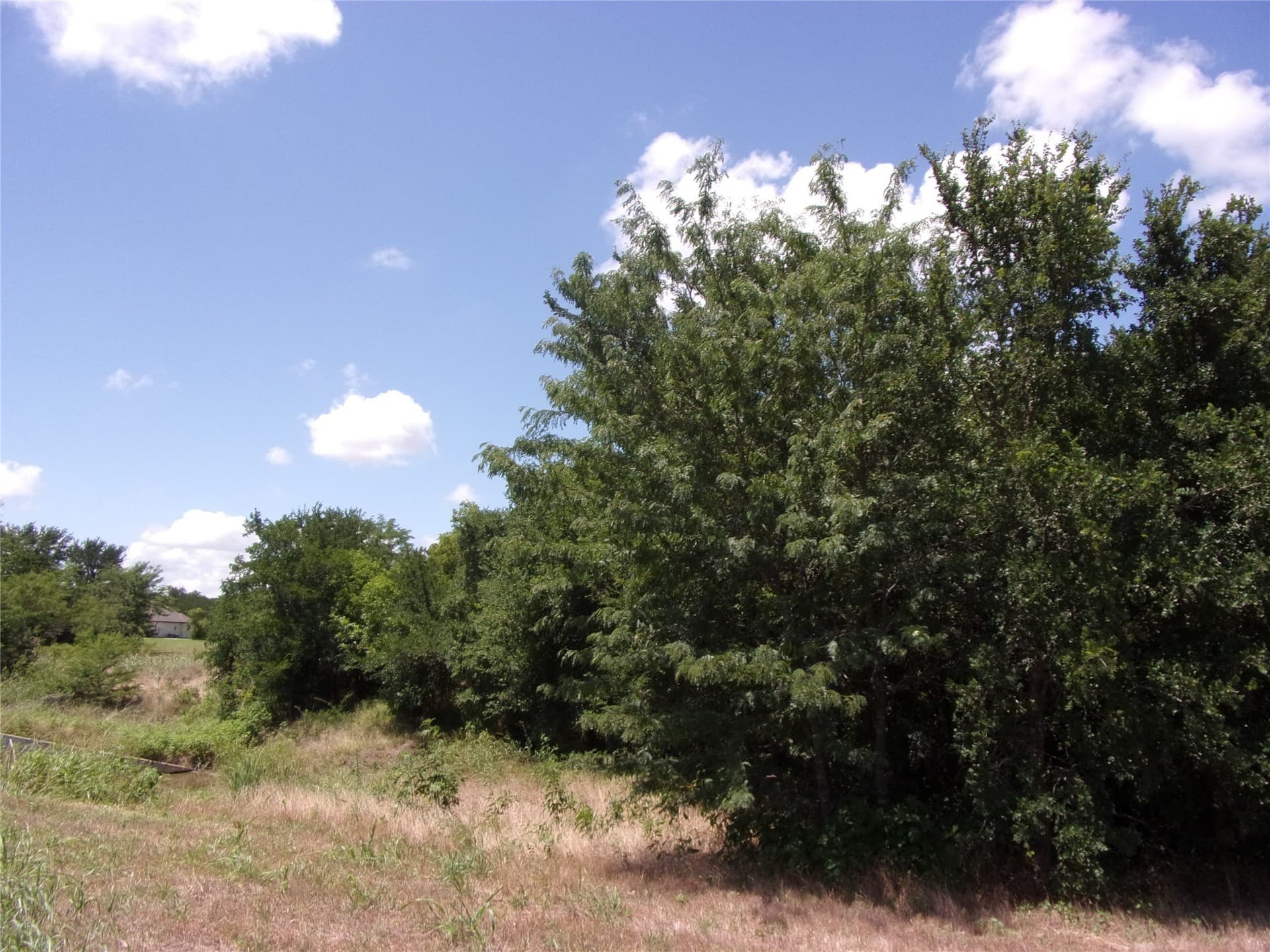 1.03 acres in Hunt County - photo 10