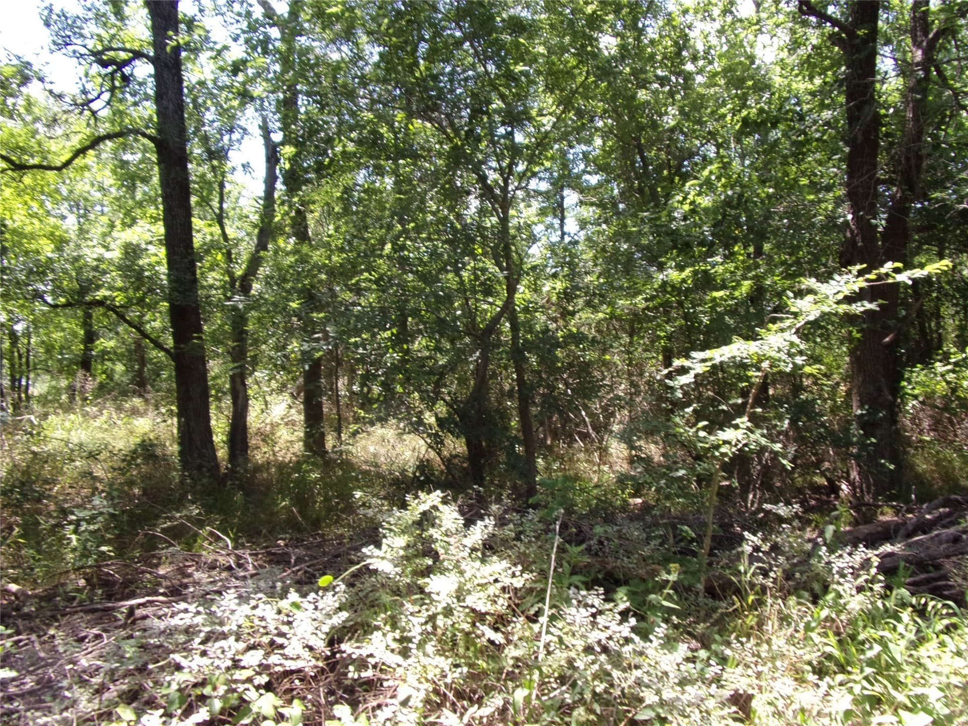 1.03 acres in Hunt County - photo 13