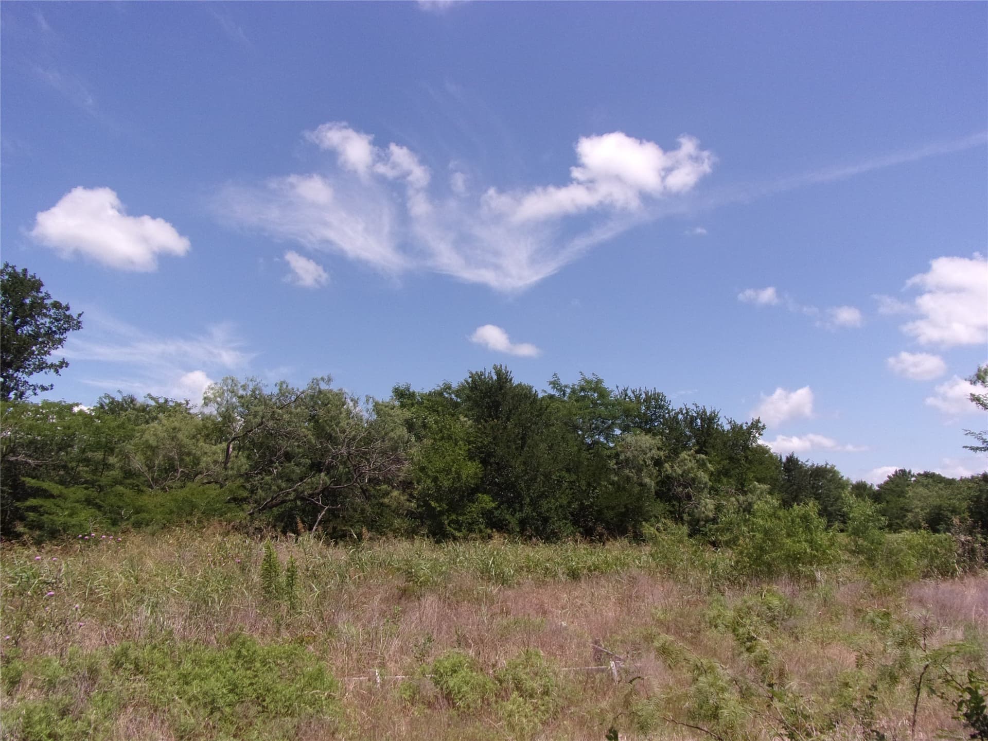 1.03 acres in Hunt County - photo 5