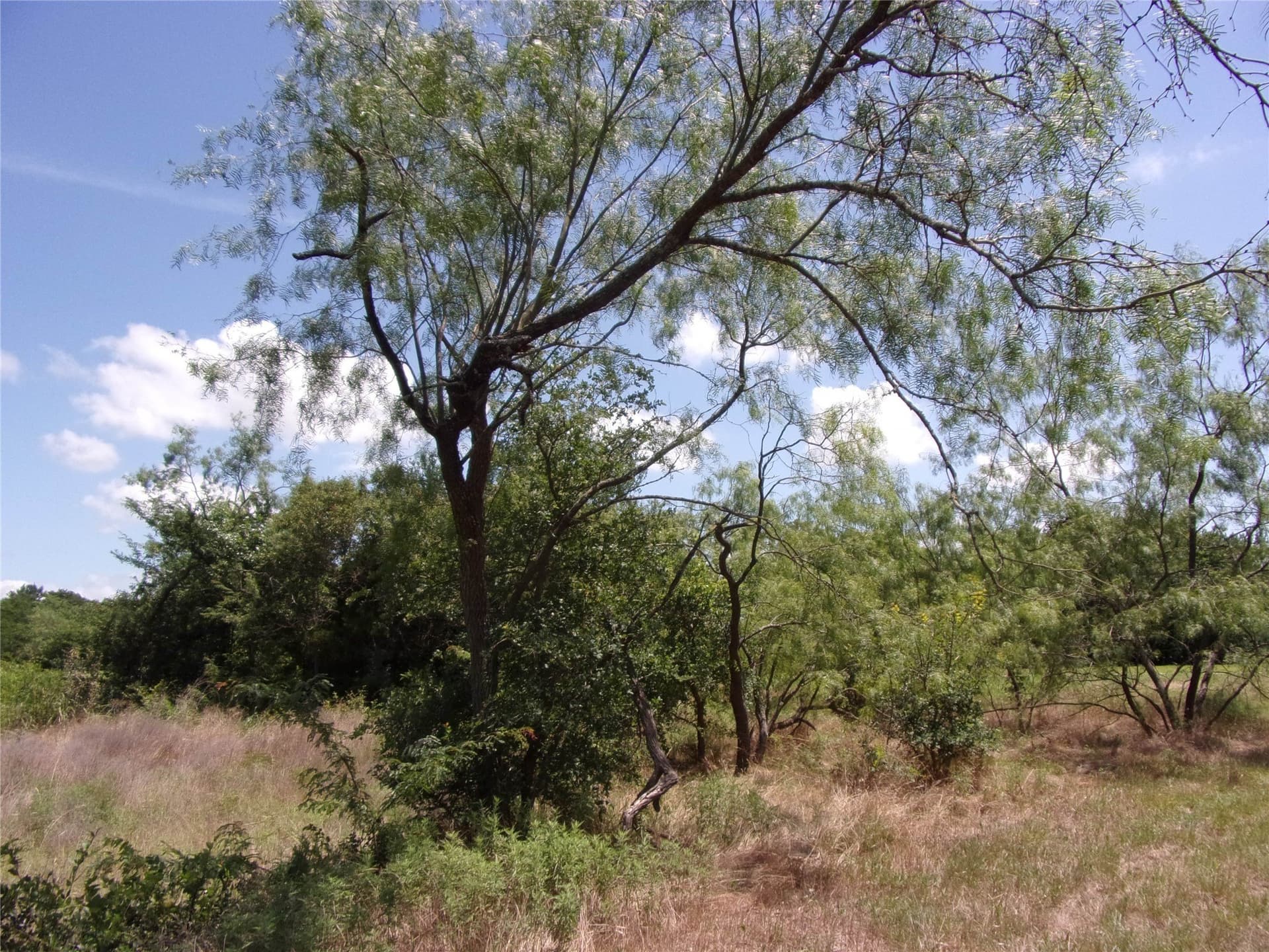 1.03 acres in Hunt County - photo 6