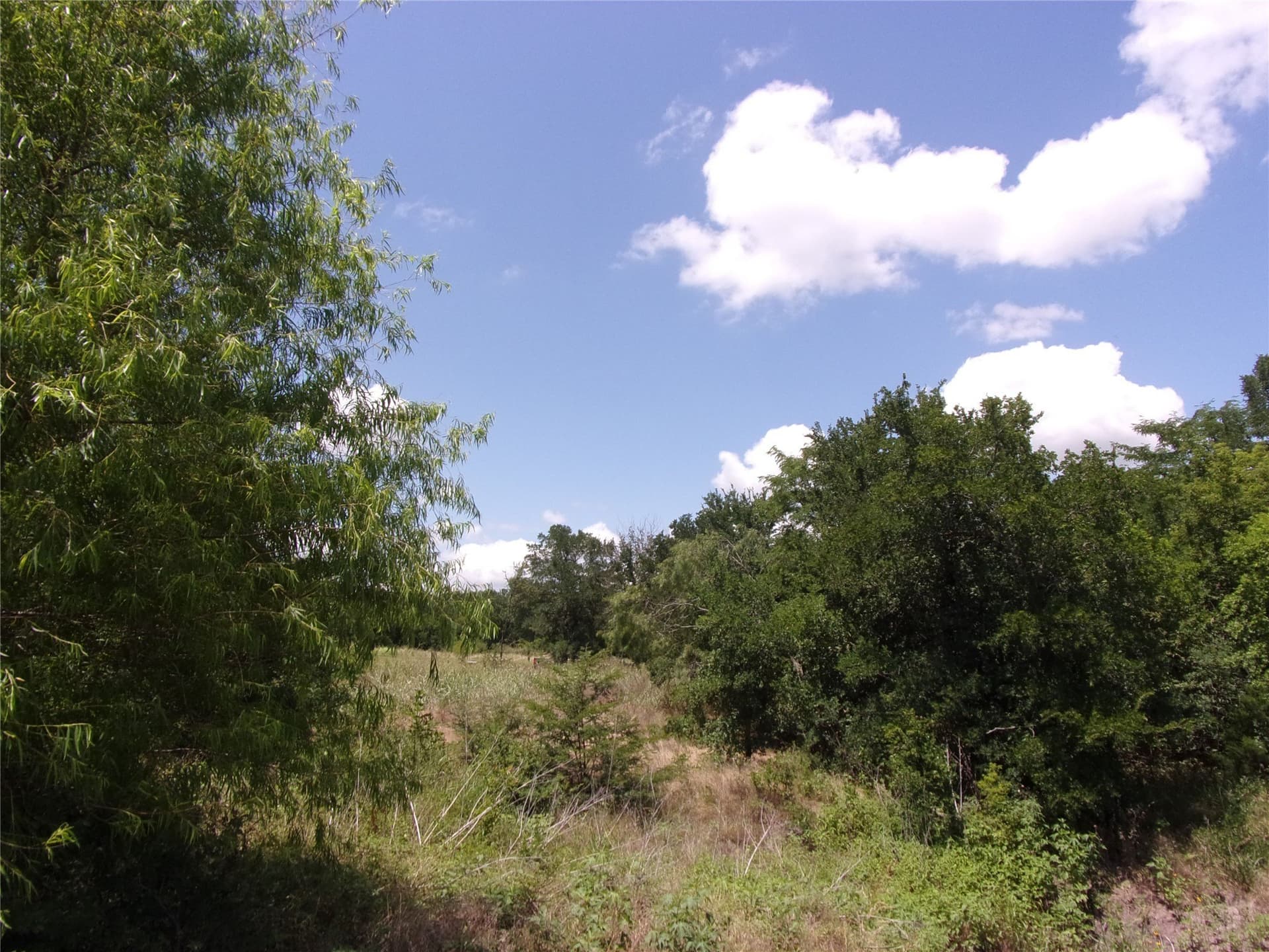 1.03 acres in Hunt County - photo 9