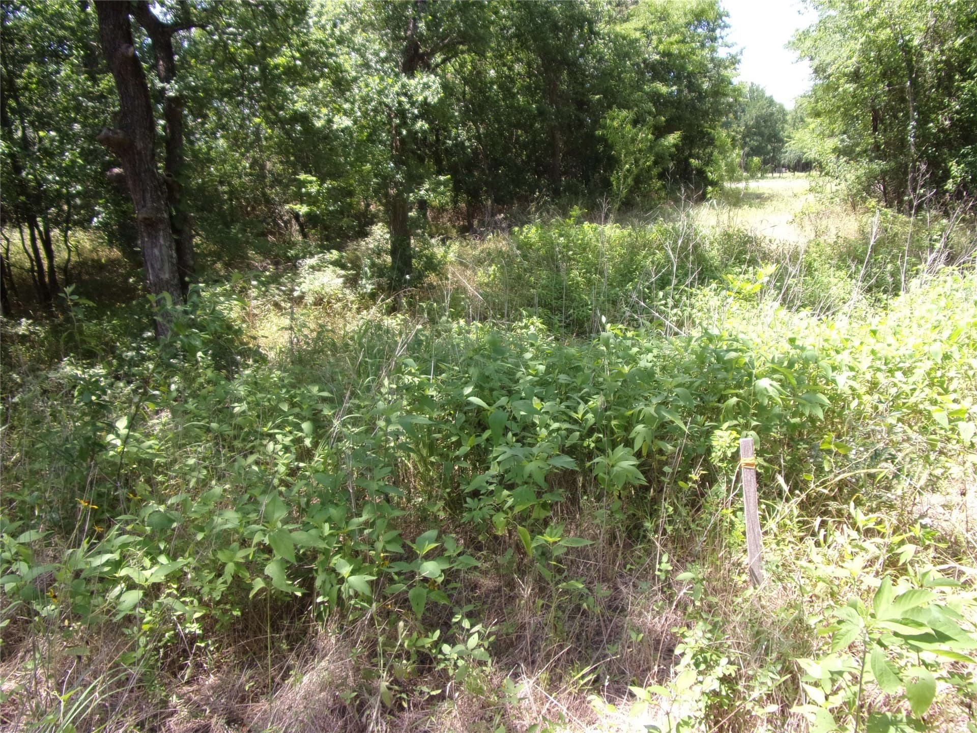 1.03 acres in Hunt County - photo 12