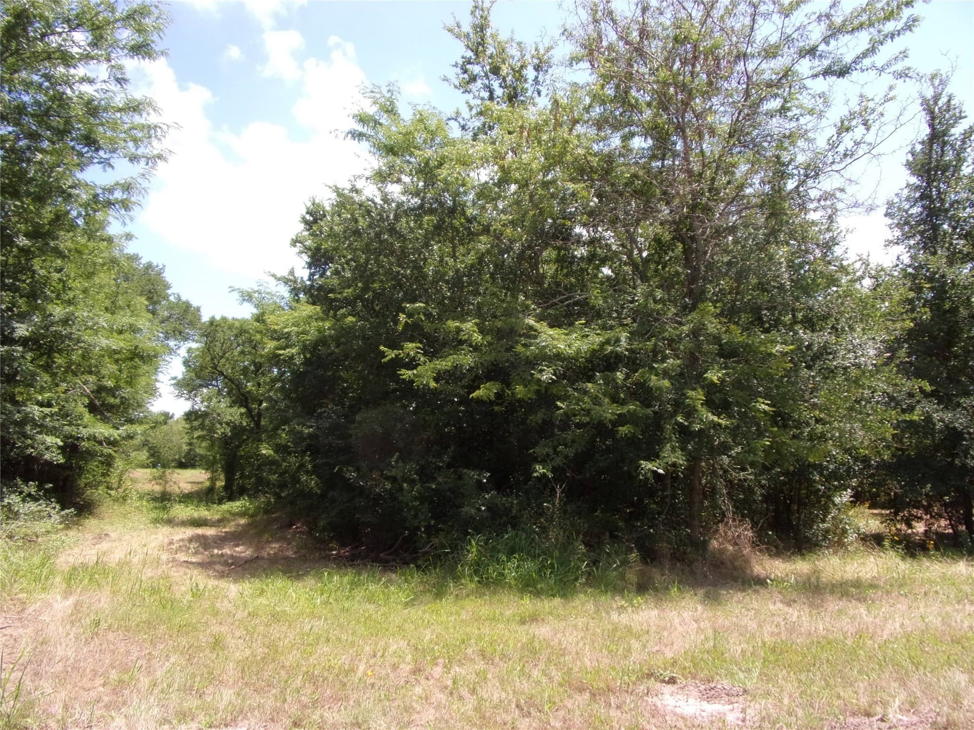 1.03 acres in Hunt County - photo 14