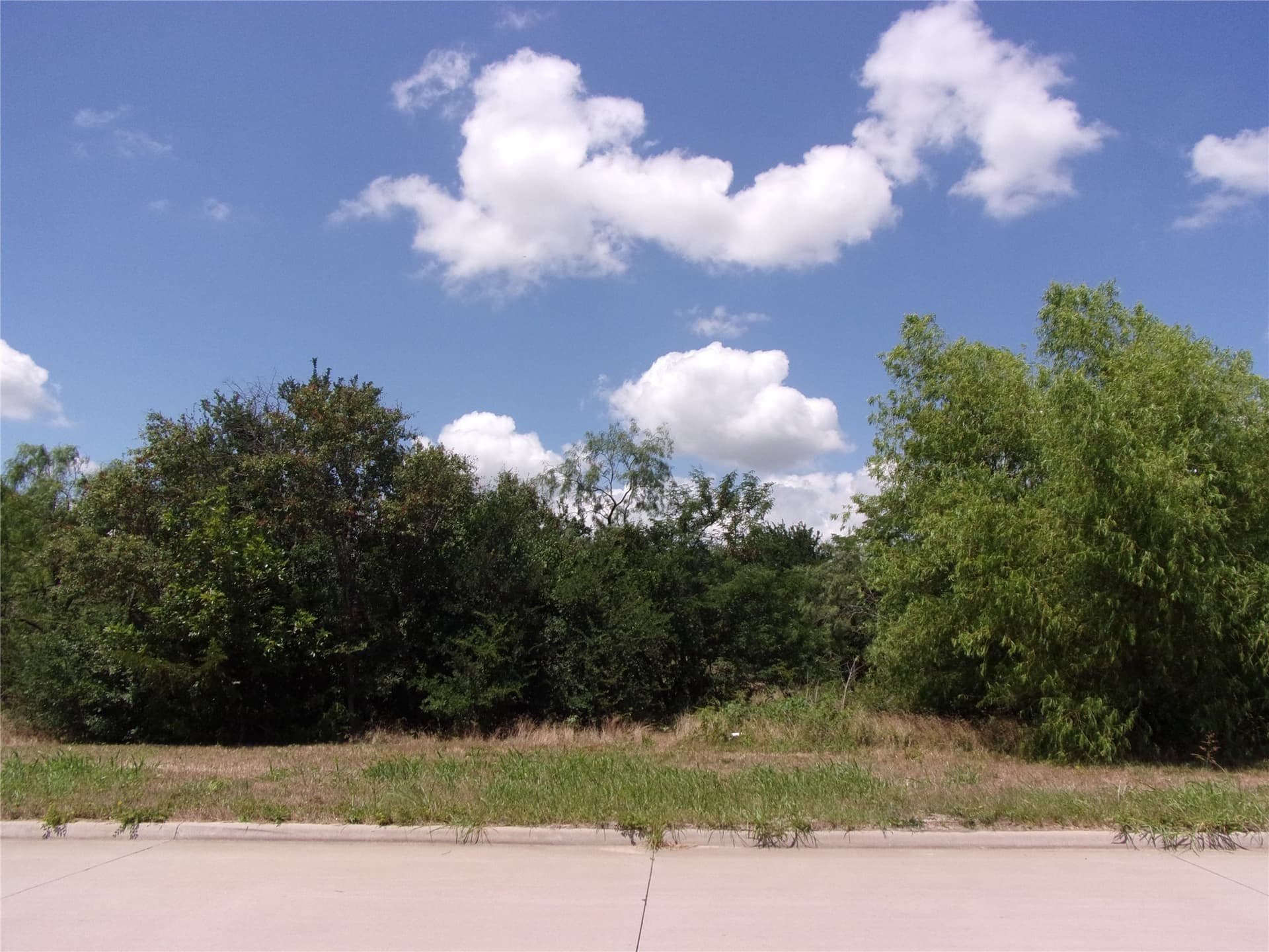 1.03 acres in Hunt County - photo 8