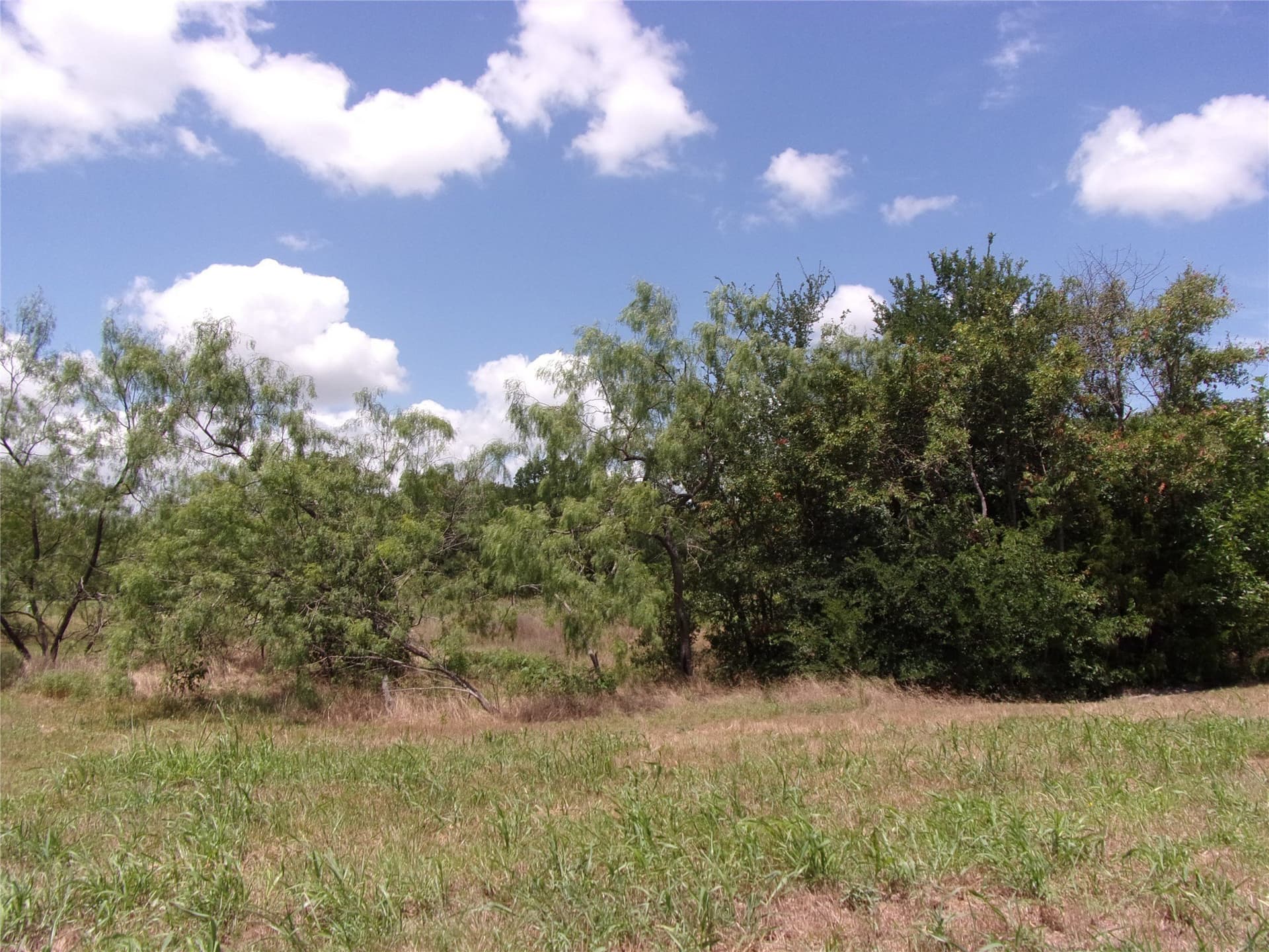 1.03 acres in Hunt County - photo 7