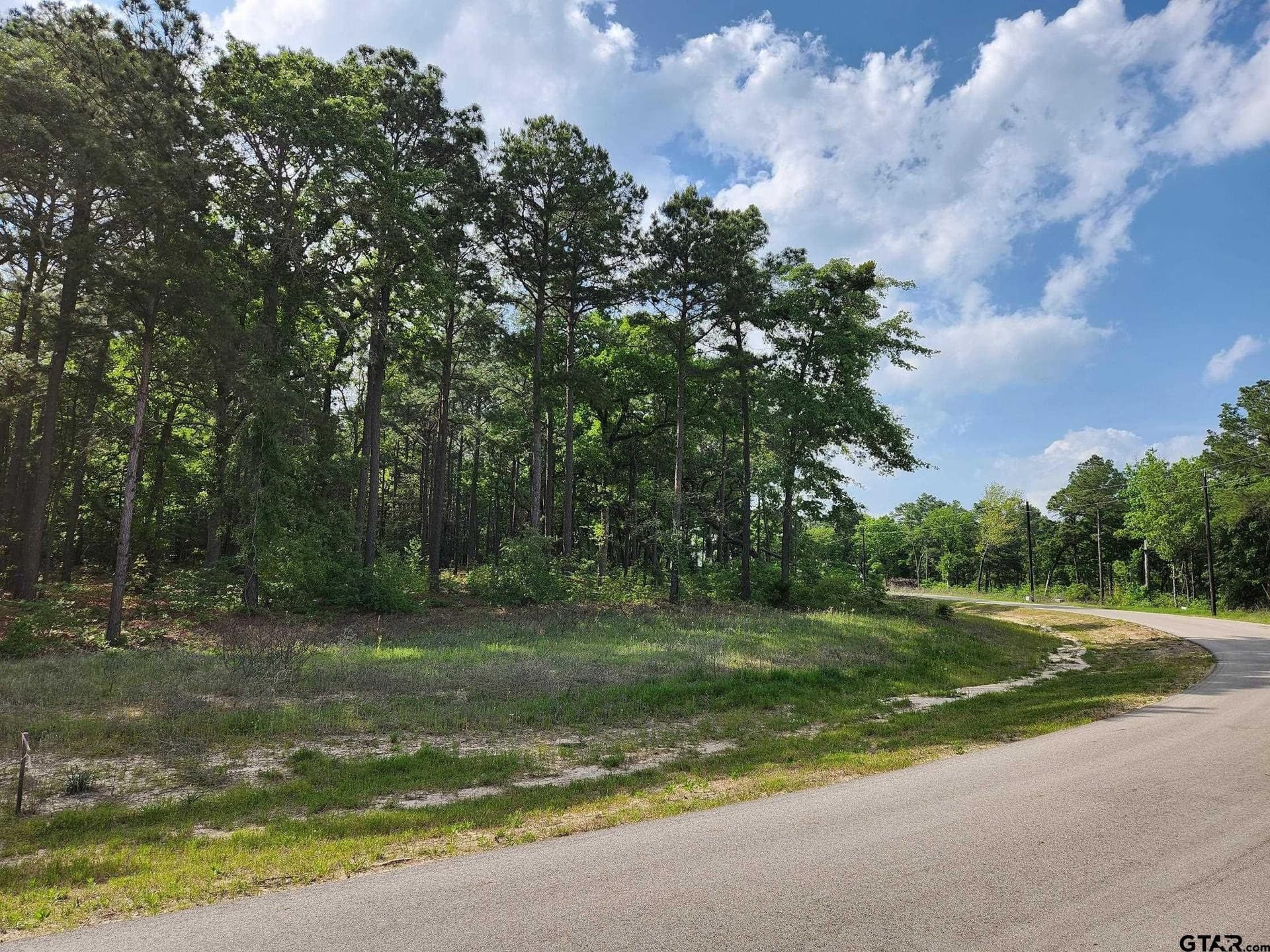 5.09 acres in Henderson County gallery image 2