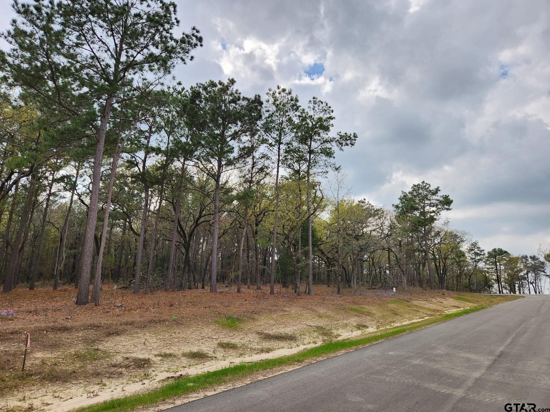 5.09 acres in Henderson County gallery image 4