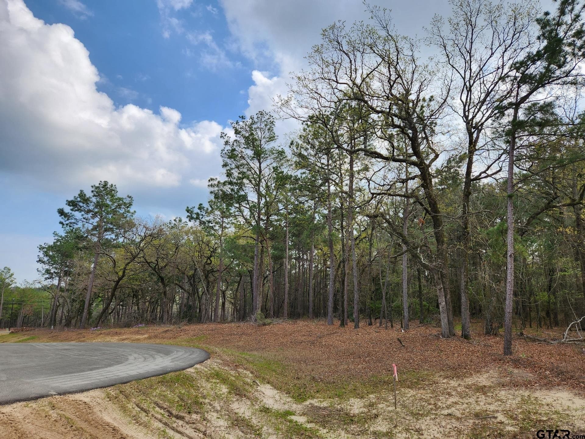 5.09 acres in Henderson County gallery image 3
