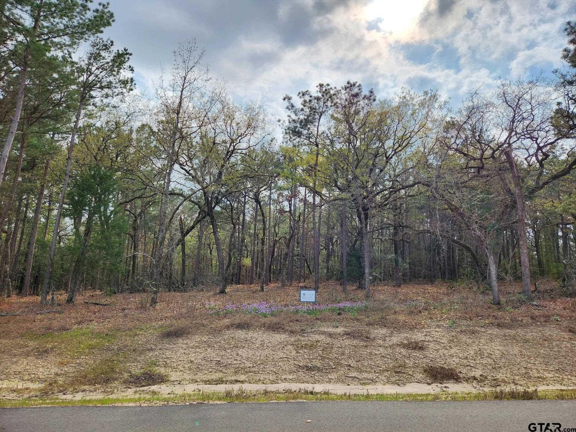 5.09 acres in Henderson County featured view