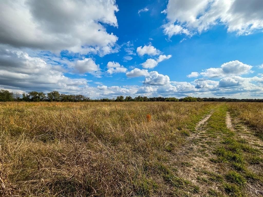 17.79 acres in Fannin County gallery image 4