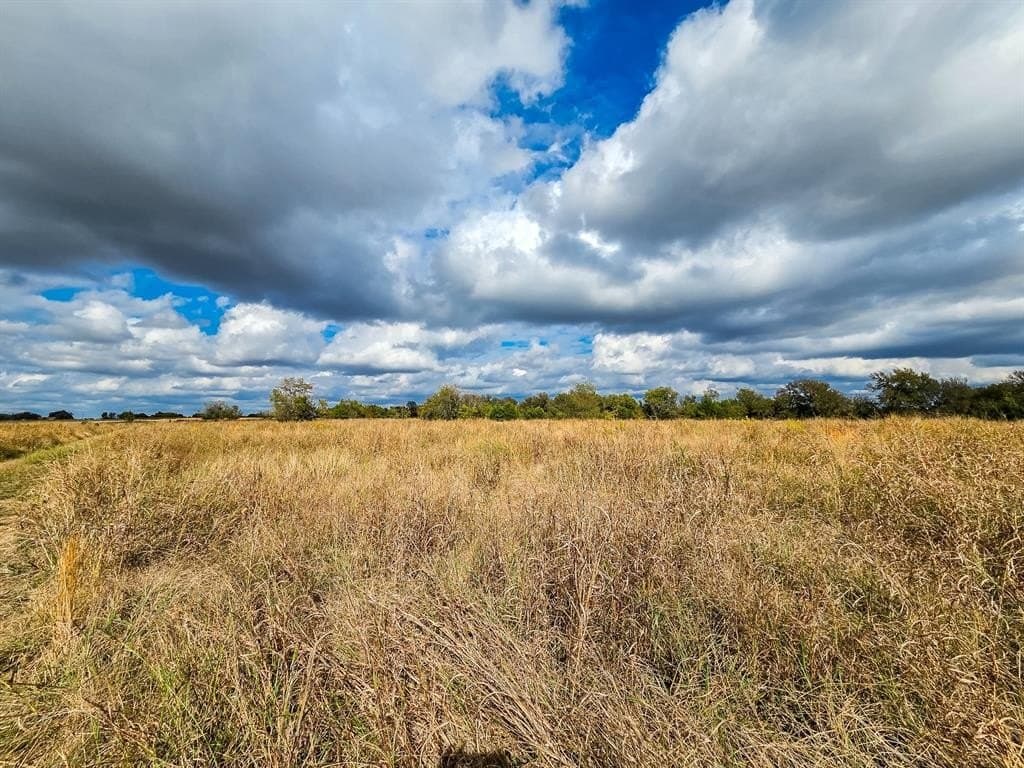 17.79 acres in Fannin County gallery image 2