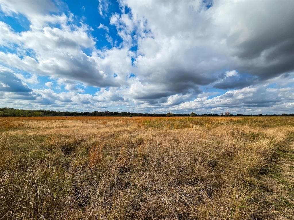 17.79 acres in Fannin County gallery image 3