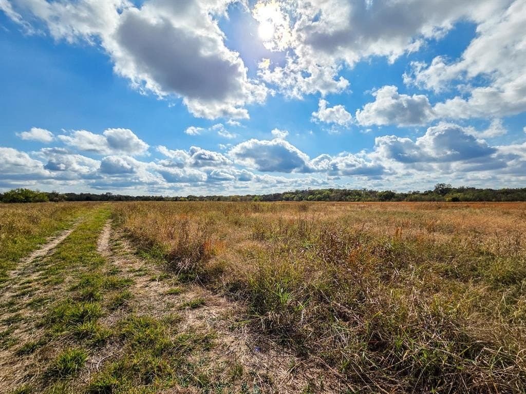 17.79 acres in Fannin County featured view