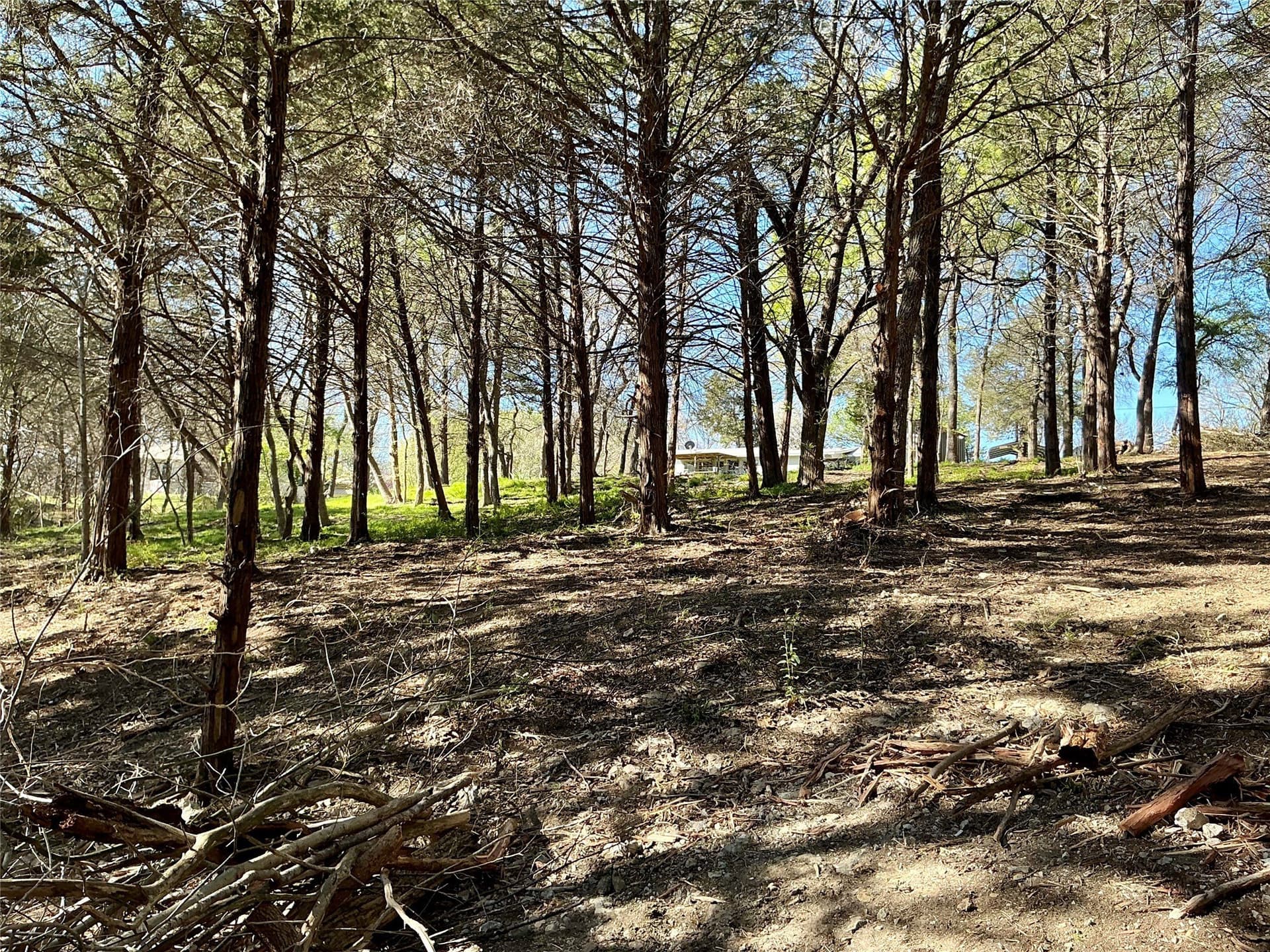 1.06 acres in Grayson County - photo 27