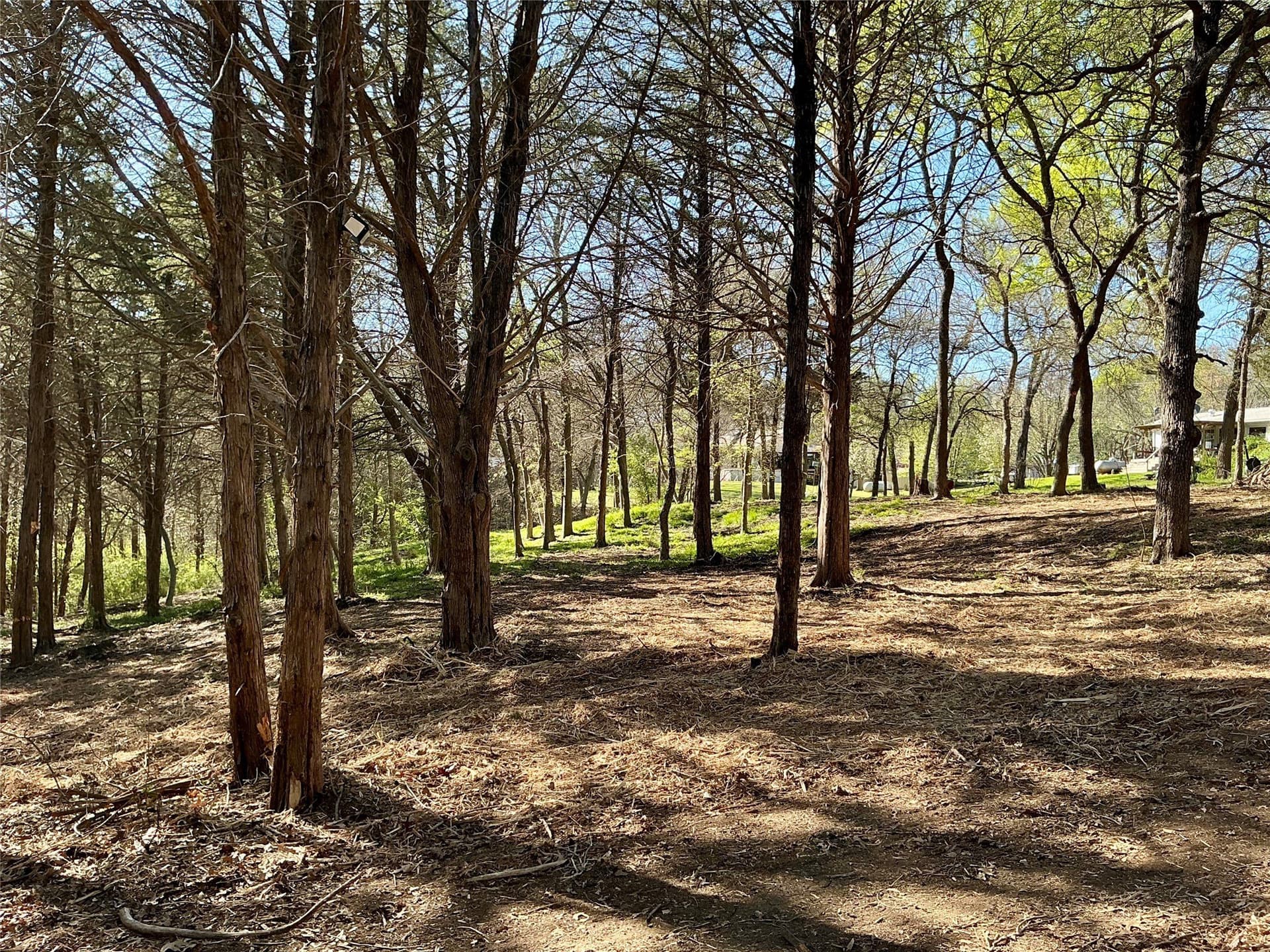 1.06 acres in Grayson County - photo 23