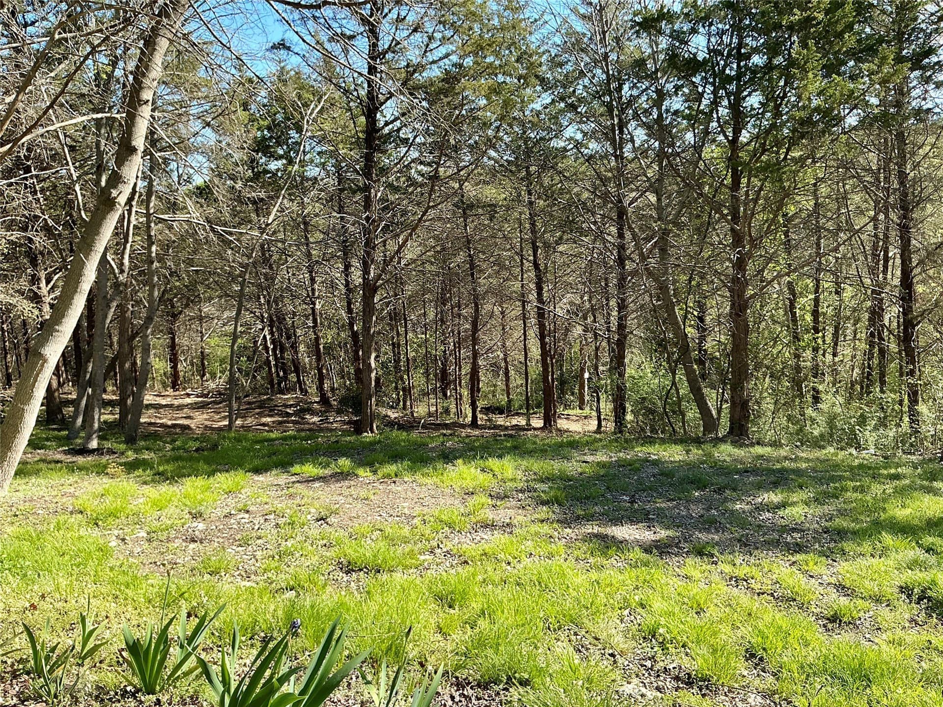 1.06 acres in Grayson County - photo 6