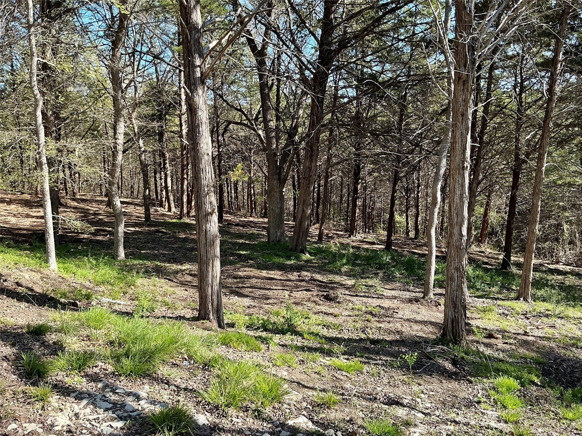 1.06 acres in Grayson County - photo 18