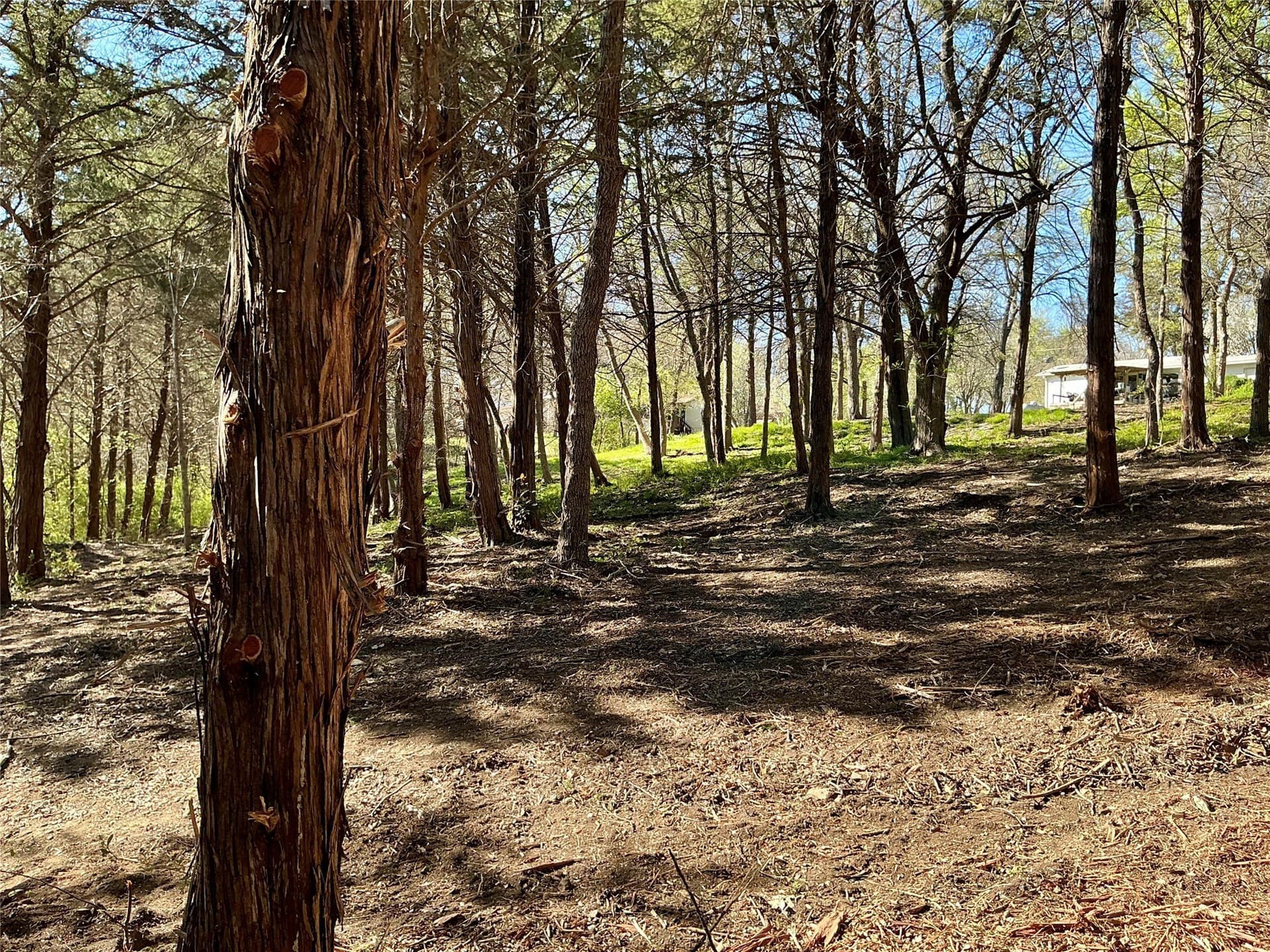 1.06 acres in Grayson County - photo 26