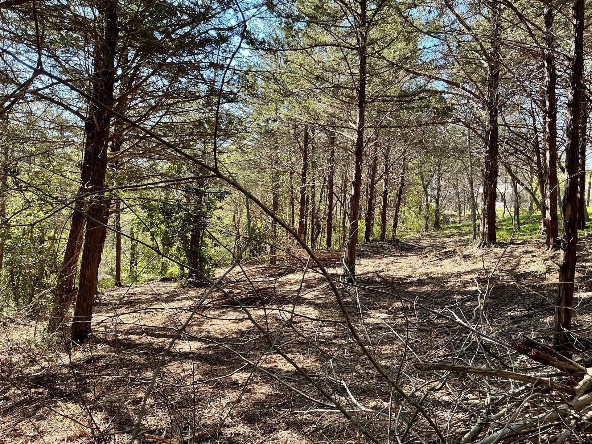1.06 acres in Grayson County - photo 30
