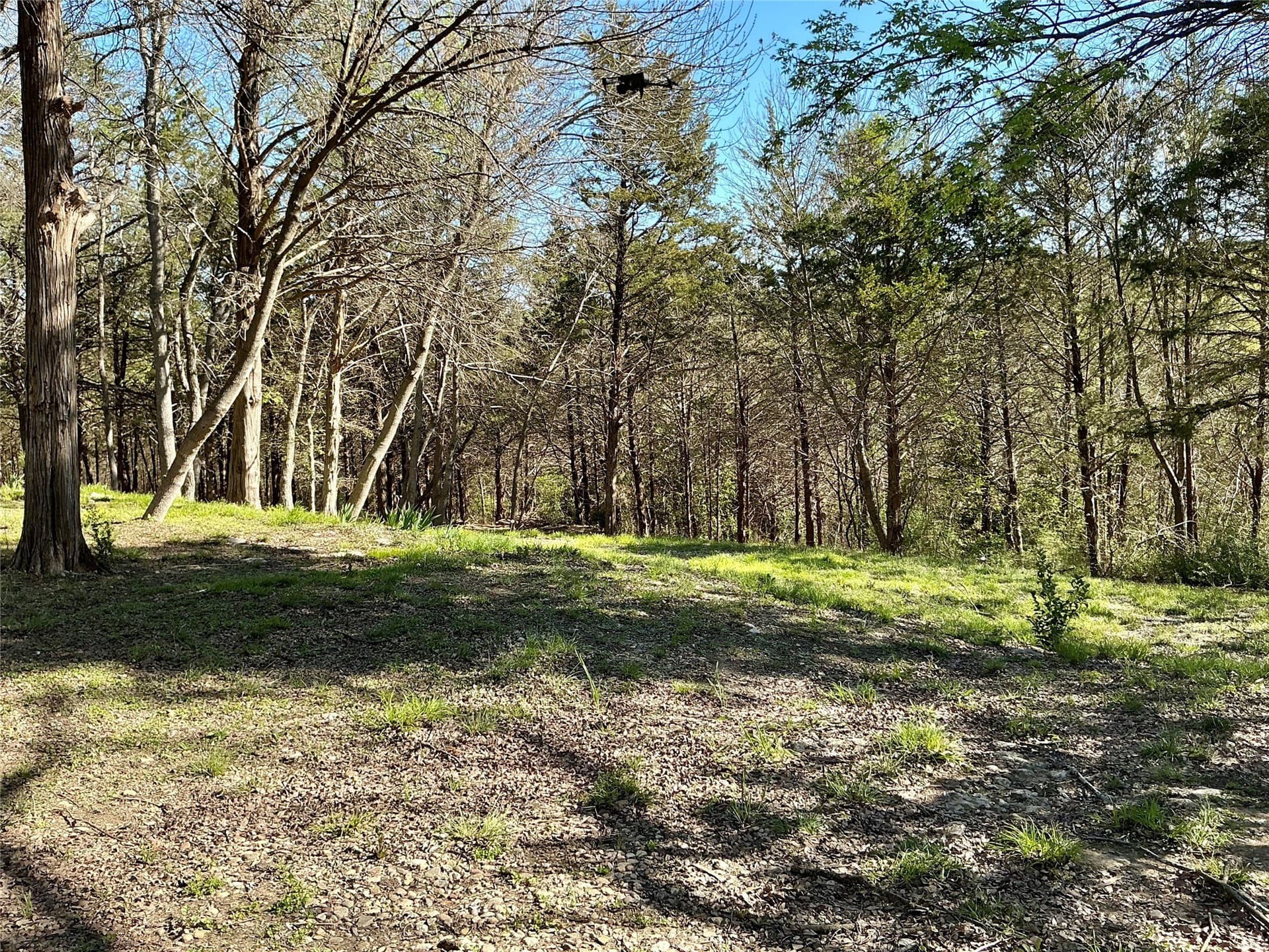 1.06 acres in Grayson County - photo 13